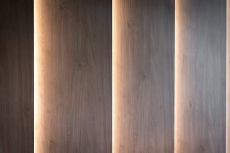 wooden panel rails on facade of the white building. Wall. Door. Architecture. Design. Street. Outdoor. Stylish modern house. Architecturalの写真素材