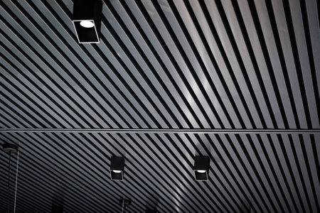 Bottom view of lath ceiling with spot lights. Abstract modern architecture or interior background in black and white with geometric structure.の写真素材
