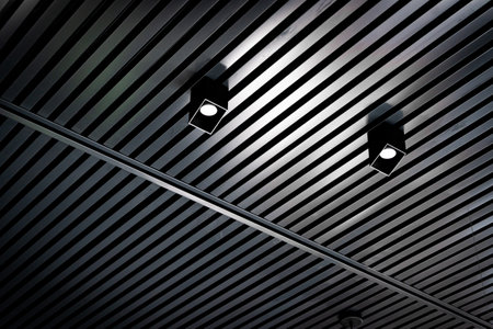 Bottom view of lath ceiling with spot lights. Abstract modern architecture or interior background in black and white with geometric structure.の写真素材