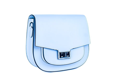 Bag clutch fashion glamor style classic retro isolated on white leatherの写真素材
