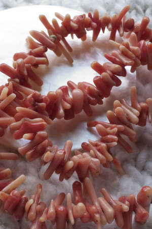 red coral beads coiled upの写真素材