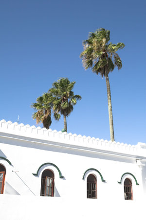 White Muslim mosque with three palms in Stellenbosch, South Africaの写真素材
