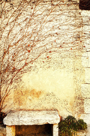 Grunge wall with dry vine and orange leaves and a stone benchの写真素材