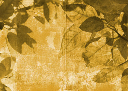 Grunge leaves background on paper texture with swirls and scrollsの写真素材