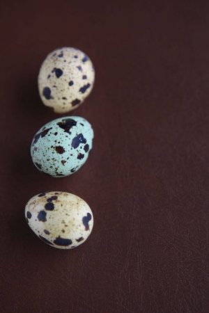 three quail eggs on a brown leather background with text space.の写真素材