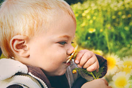 small baby boy holding a daisy in his hand and smelling it with retro effectの写真素材