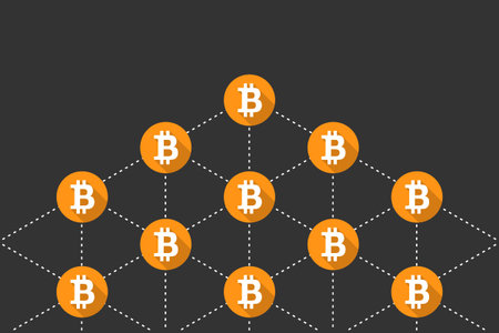 Bitcoin network, blockchain, node