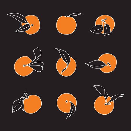 Orange Tangerine Selection Minimalist Vector Designs on Blackのイラスト素材