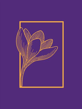 Crocus Flower in Frame Design. Orange on Purple. Minimalist Designのイラスト素材