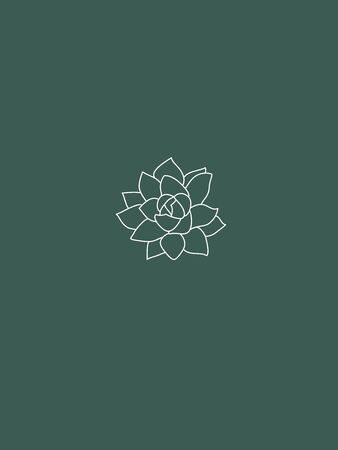 Modern and Minimalist Succulent Echeveria Vector Line Art in White and Mintのイラスト素材