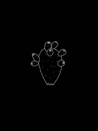Detailed Opuntia Cactus Plant Line Art Design on Black Backgroundのイラスト素材