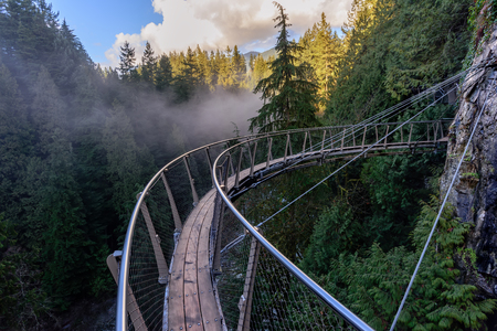 a view from above from the suspension bridge on rough streams of a mountain river among green forests white fog and rocky mountains in a sunny, summer dayの写真素材