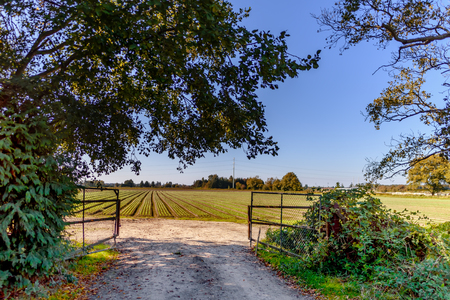 road and open gate to a farmer's field with green patches and forest in the backgroundの写真素材
