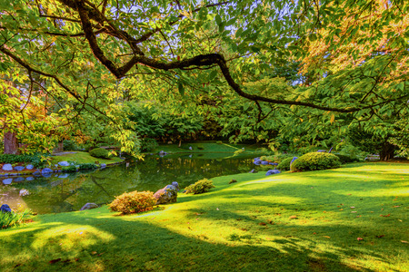 a lawn with clipped green grass near a river in a park with trees and bushes, stones and a wooden gazebo on a sunny summer dayの写真素材