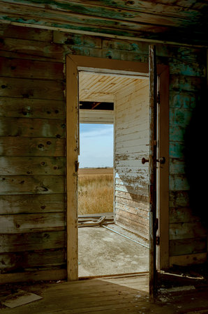 open entrance, old, with peeling paint, a wooden front door to the house, floor and walls on the...