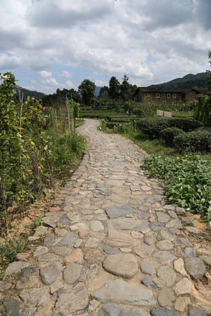 Country roadのeditorial素材