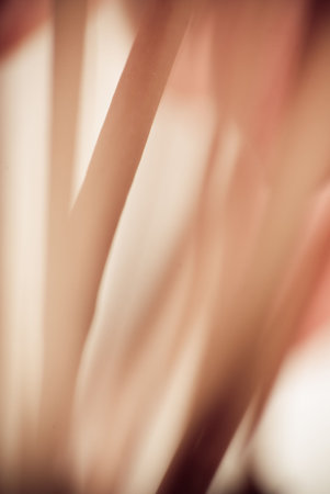 A close up observation of the petals through macro lens, showing the details of natural flowerの写真素材