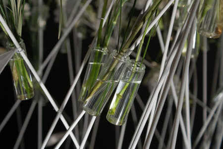 Beautiful and refreshing landscaping garden produced by professional designersの写真素材