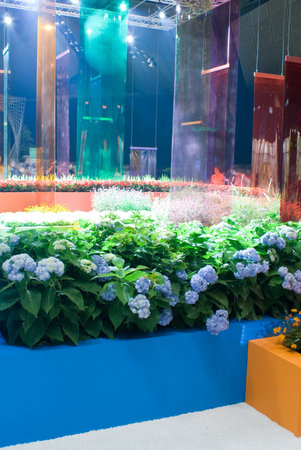 Beautiful and refreshing landscaping garden produced by professional designers