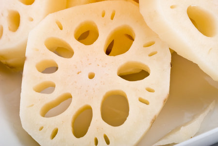 Fresh sliced lotus root in white plateの写真素材