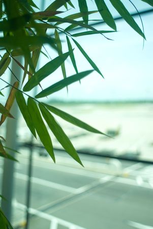 Interior design of Singapore International Airport terminalの写真素材