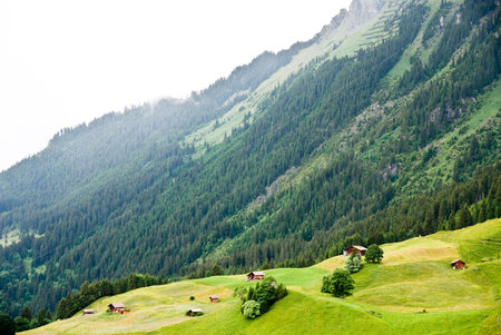 Mountainous green scenery in Switzerland village in summer