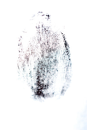 detail of black fingerprint isolated on whiteの写真素材