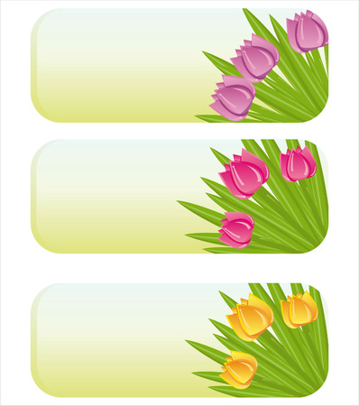 set of 3 spring banners with tulipsのイラスト素材