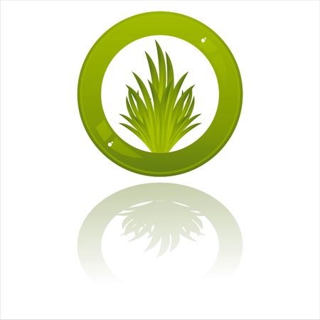  glossy grass button isolated on whiteのイラスト素材