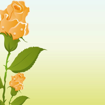 beautiful roses backgroundのイラスト素材