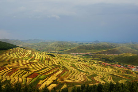 Hebei Zhangjiakou grassland landscape road