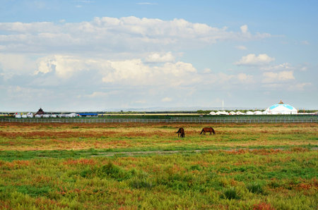Zhangbei grasslandの写真素材