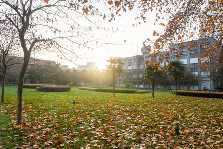 Campus corner during autumn