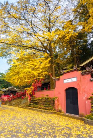 Dujiangyan sceneryのeditorial素材