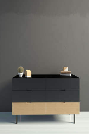 Modern interior with rack and plant.Wall mock up. 3d illustrationの写真素材