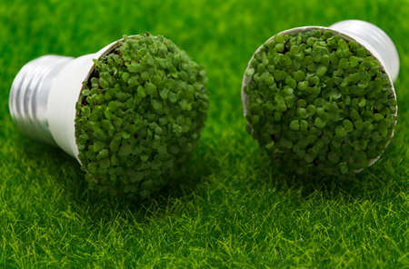 Two lamps with green grass lie on a green lawn. Green energy concept.の写真素材