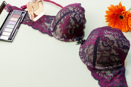 Beautiful burgundy lace women's underwear. Bra, women's cosmetics and flower. Copy space.