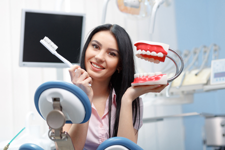 Beautiful young woman explains to dentures how to properly care for your teethの写真素材
