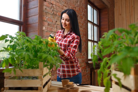 Perfect hobby. Portrait of an attractive smiling female caring her seedlings spraying seedlings with water.の写真素材