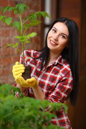 Nature indoors. Beautiful female gardener checking her growing seedling indoors.の写真素材
