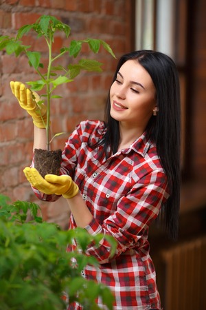 Growing perfect. Shot of a cheerful young female gardener enjoying her day of gardening in a greenhouse.の写真素材