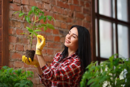 Growing perfect. Shot of a cheerful young female gardener enjoying her day of gardening in a greenhouse.の写真素材