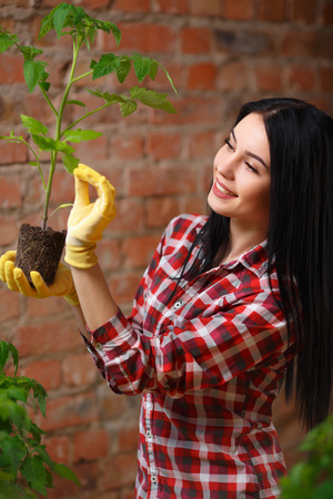 Growing perfect. Shot of a cheerful young female gardener enjoying her day of gardening in a greenhouse.の写真素材