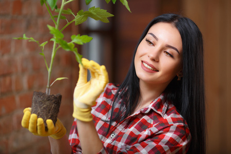 Growing perfect. Shot of a cheerful young female gardener enjoying her day of gardening in a greenhouse.の写真素材