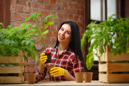 Healthy hobby. Portrait of a beautiful female holding a seedling and a pot in her hands looking to the camera smiling joyfully.の写真素材