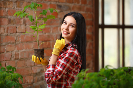 Growing perfect. Shot of a cheerful young female gardener enjoying her day of gardening in a greenhouse.の写真素材