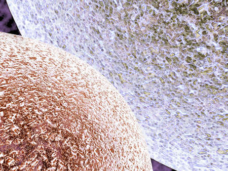 Microviruses vol 7の写真素材