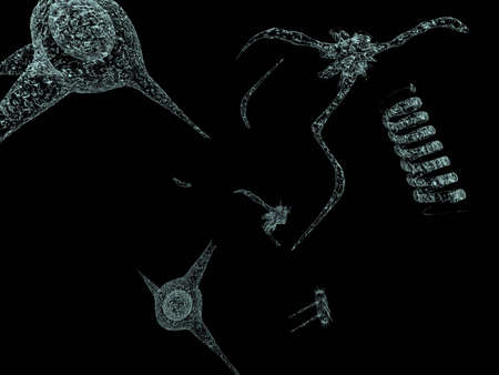 Microviruses vol 5の写真素材