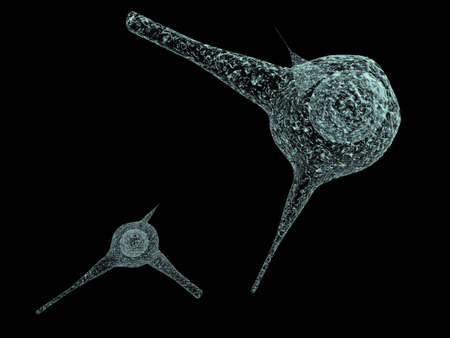 Microviruses vol 2の写真素材