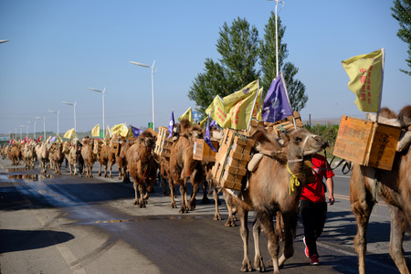 Caravansのeditorial素材